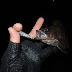 可能性は感じます