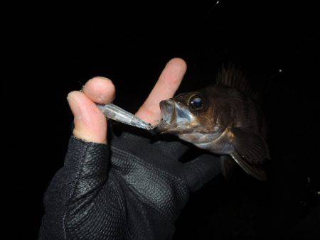 可能性は感じます