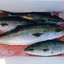 アルバトロス乗船