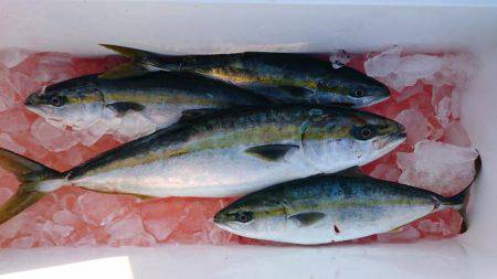 アルバトロス乗船