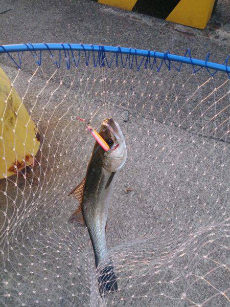 停泊船ゲ―ム開幕