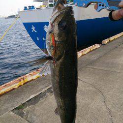 続 停泊船ゲ―ム