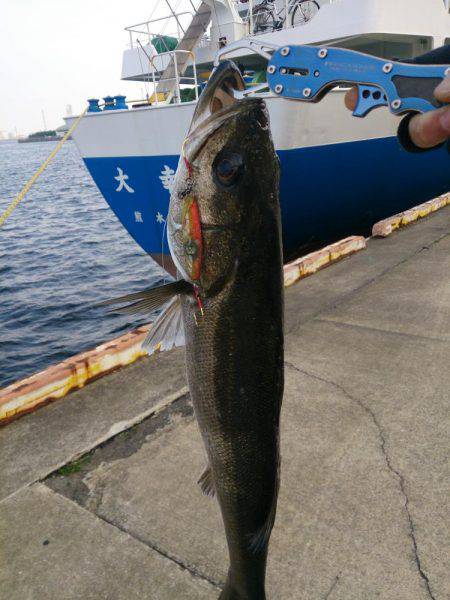 続 停泊船ゲ―ム