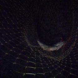 子供連れがほほえましい～