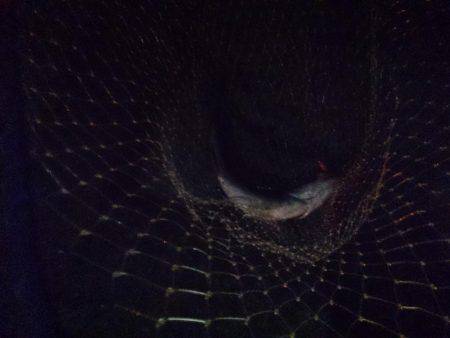 子供連れがほほえましい～