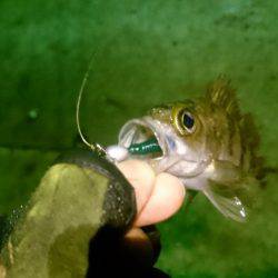 少しましになったけどまだ渋い!