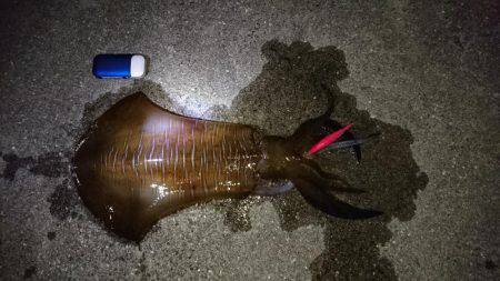 渋ければ渋いほど…