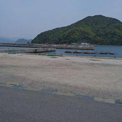 豆鯵狙いで和歌山へ、