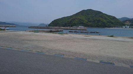 豆鯵狙いで和歌山へ、