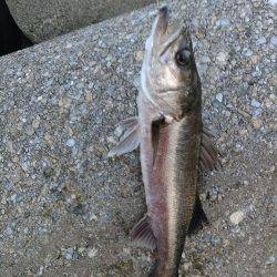 今年初の二桁！！