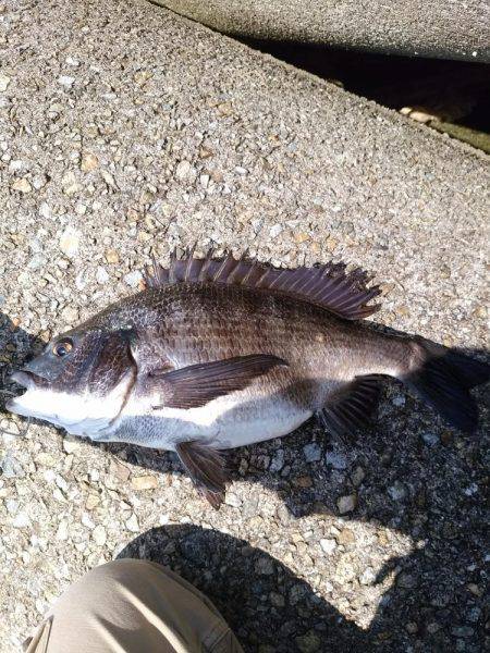 乗っ込み真っ最中！！