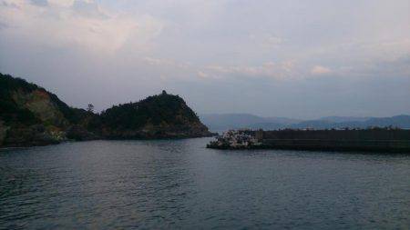 群れ小さいのかな