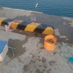 ひさびさのサビキ