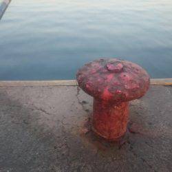 えさなしサビキ