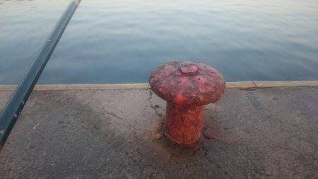 えさなしサビキ