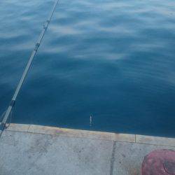 シェアジギング