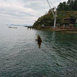 根魚の探り釣り
