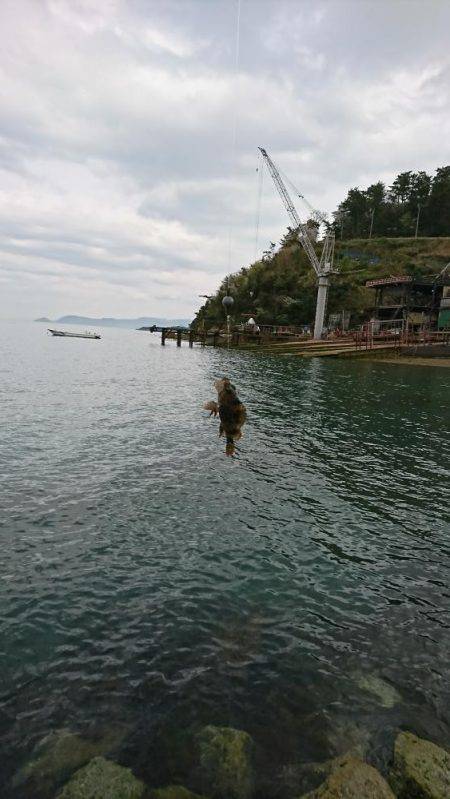 根魚の探り釣り
