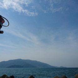 コウイカ絶好調?