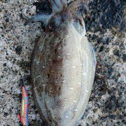 モンスター出現