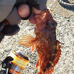 付き合いの良い奴