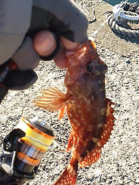 付き合いの良い奴