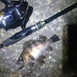 風がないのに…