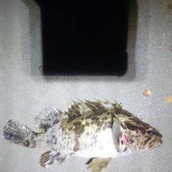 サーフオモロイ。