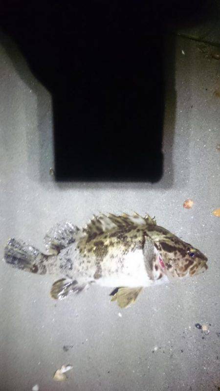 サーフオモロイ。