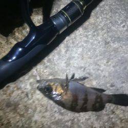 トラブルシューティング