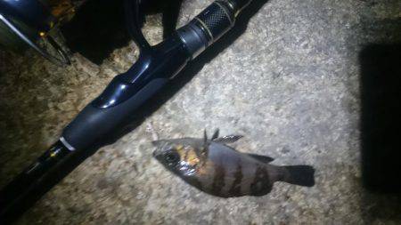 トラブルシューティング