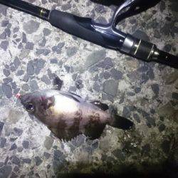 ヤッパ潮かな。