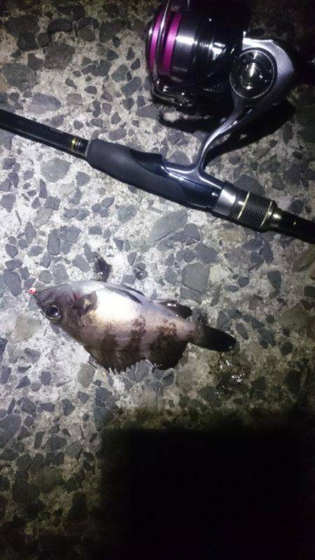 ヤッパ潮かな。