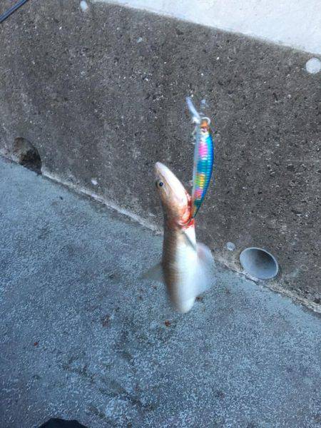 エソゲーム炸裂‼︎