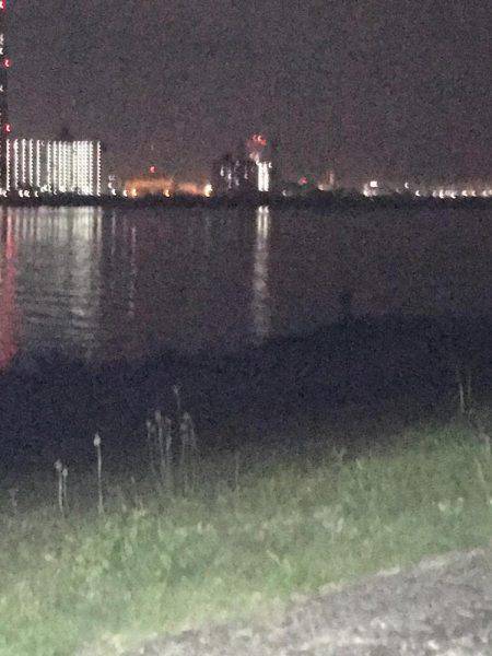 仕事帰りの癒し