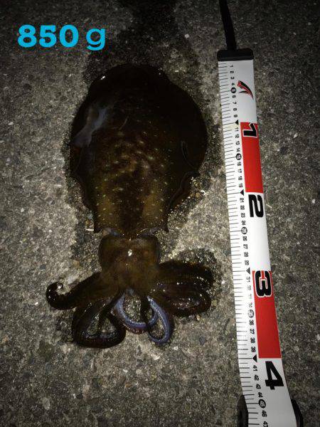 いっかいだけのあたりで…