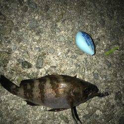 プレミアムフライデーメバリング