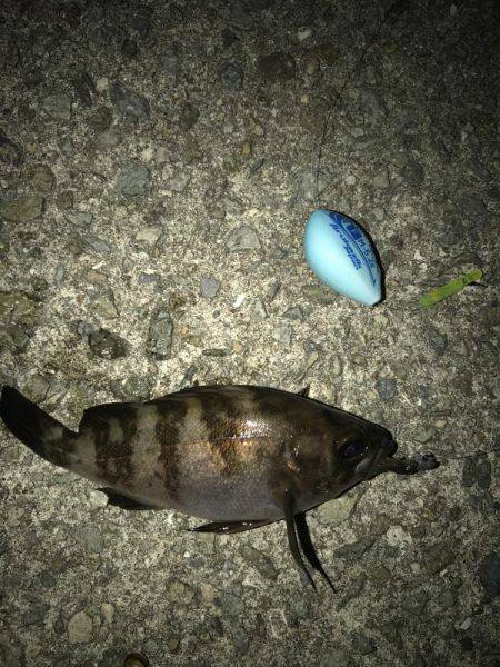 プレミアムフライデーメバリング