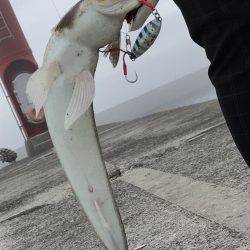 エソ神降臨( ´∀｀)