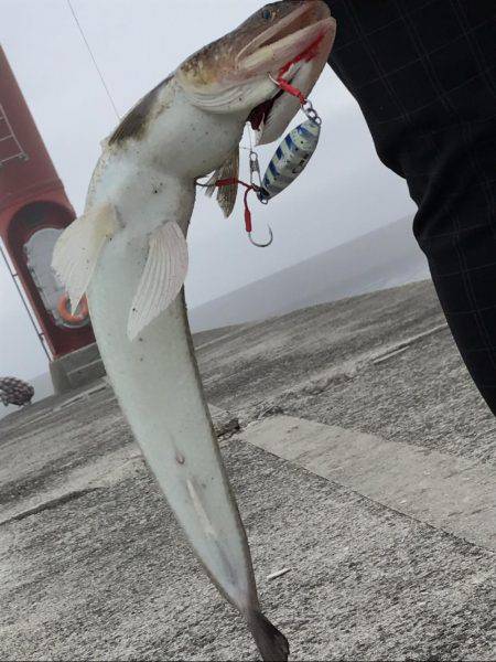 エソ神降臨( ´∀｀)