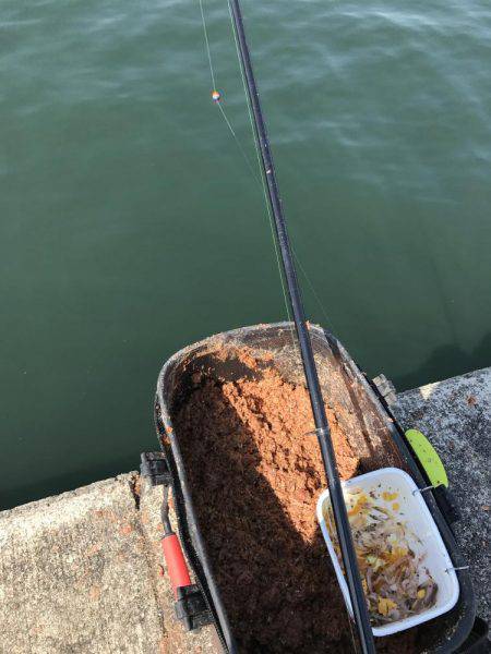 フカセチヌでボラのみ。。。