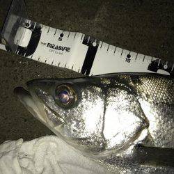 雨上がりのサイズアップ！