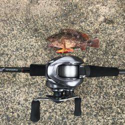 マイクロショアジギング