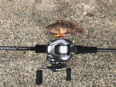 マイクロショアジギング