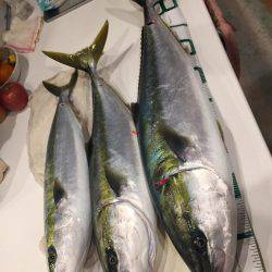 宮津市 船ジギング ブリ!