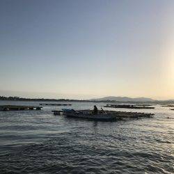 筏のかかり釣りでチヌ狙いダンゴ釣り