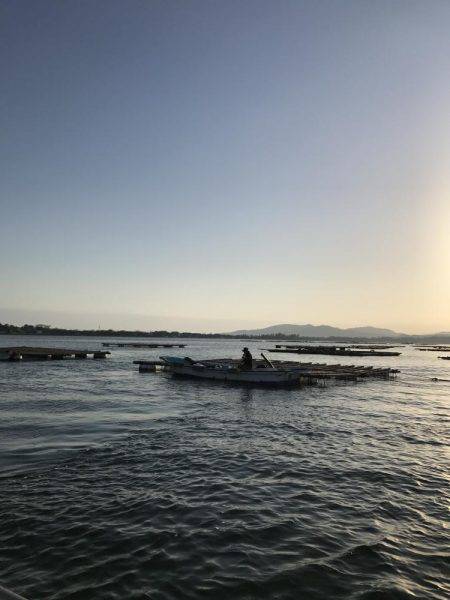 筏のかかり釣りでチヌ狙いダンゴ釣り
