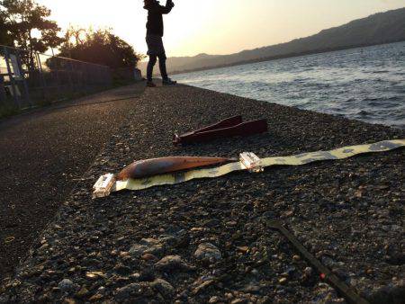 キス 釣れました〜