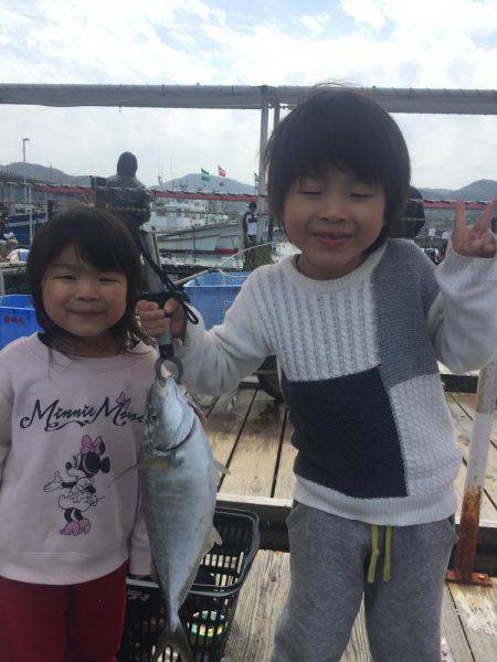 シマアジ祭りーーーー