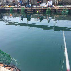 釣り堀シマアジ